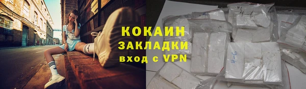 прущие грибы Заводоуковск