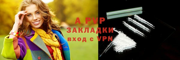 прущие грибы Заводоуковск