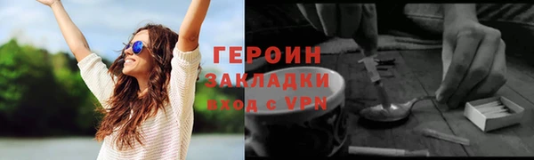 прущие грибы Заводоуковск