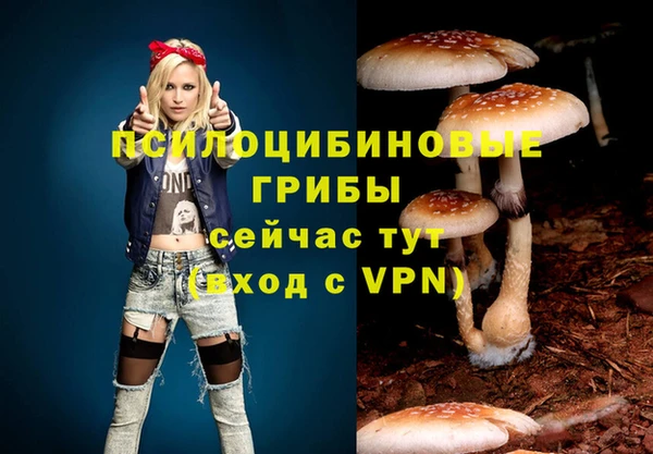 прущие грибы Заводоуковск