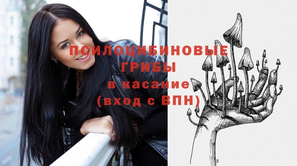 прущие грибы Заводоуковск