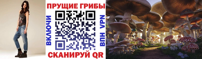 Купить  Малмыж  Галлюциногенные грибы MAGIC MUSHROOMS 