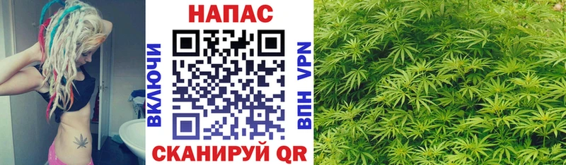 Марихуана White Widow  Купить закладки  Малмыж 